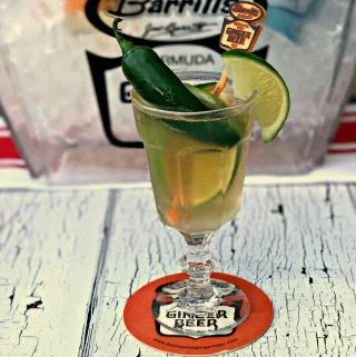 Ginger Beer Tequila Mexican Mule Cocktail in a margarita glass