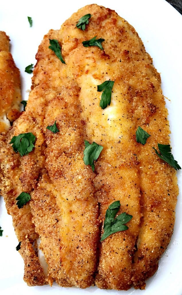 Airfryer Recipes Fish | Besto Blog