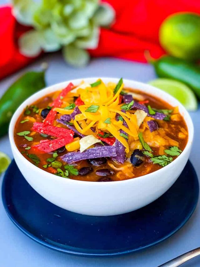 Instant Pot Chicken Tortilla Soup – 20 minute dinner