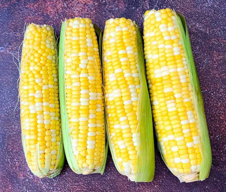 Air Fryer Corn on the Cob + {VIDEO}