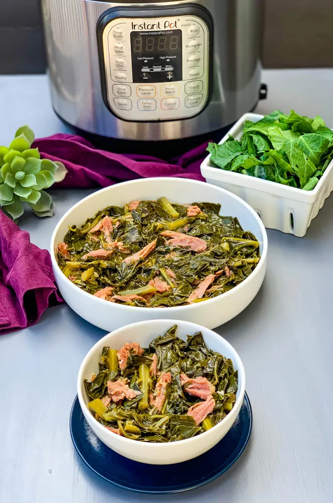 How To Use Instant Pot - What Is Instant Pot? - The Soul Food Pot Guide