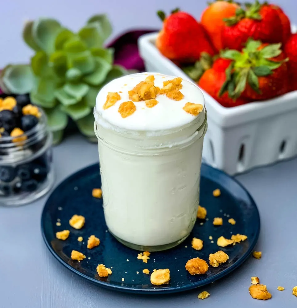 https://www.staysnatched.com/wp-content/uploads/2019/06/instant-pot-homemade-yogurt-6-1.jpg.webp