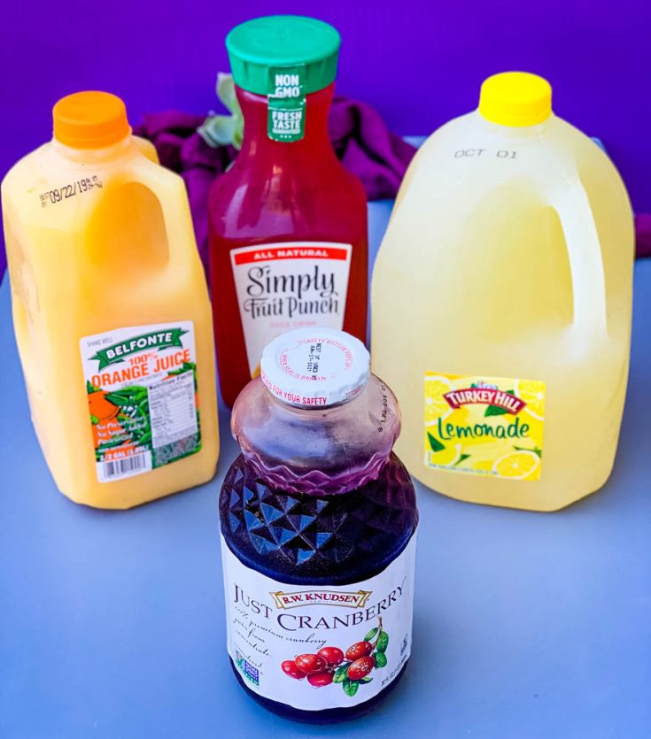 Easy Jungle Juice Recipe + {VIDEO}