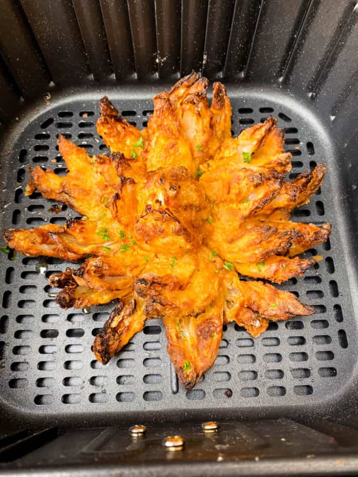 Air Fryer Blooming Onion Recipe + {VIDEO}