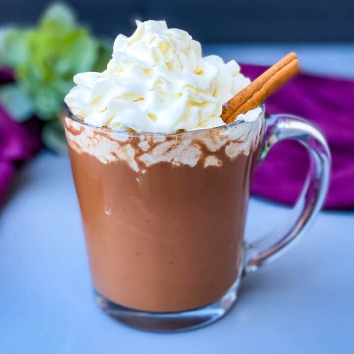 Sugar Free Hot Chocolate + {VIDEO}