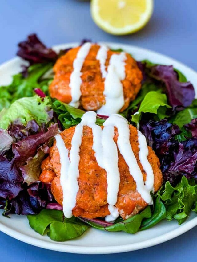 Fresh Salmon Patties