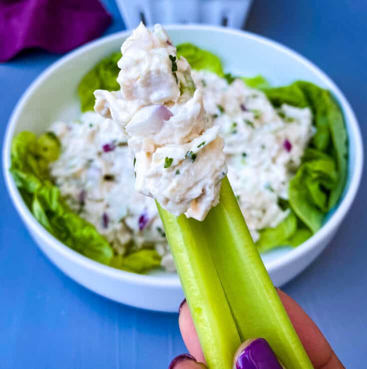 Easy Keto Low Carb Chicken Salad {video}