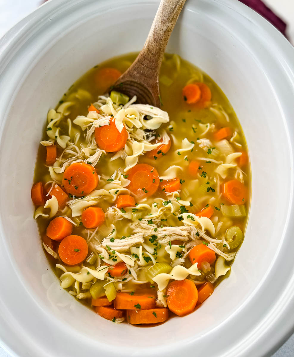 Best Homemade Chicken Noodle Soup Recipe - Erin Lives Whole