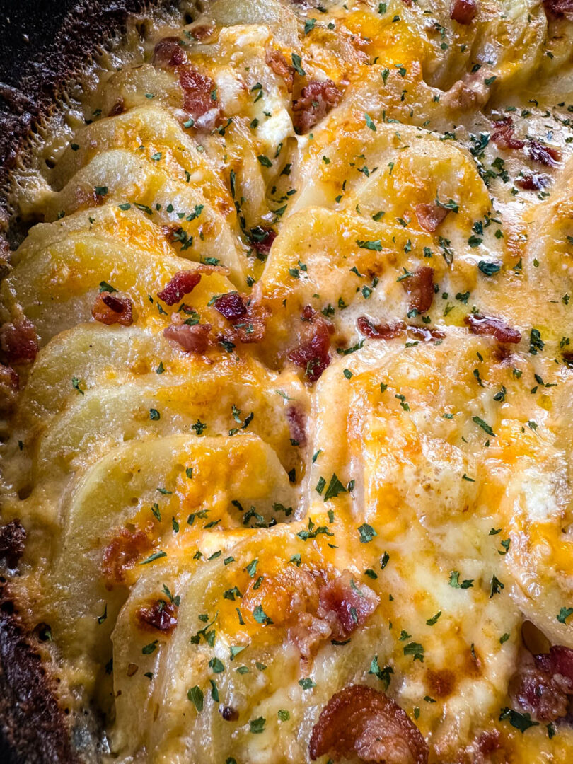 Au Gratin Potatoes With Bacon And Cheese 0186