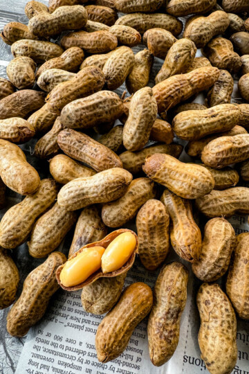 Cajun boiled peanuts on newspaper