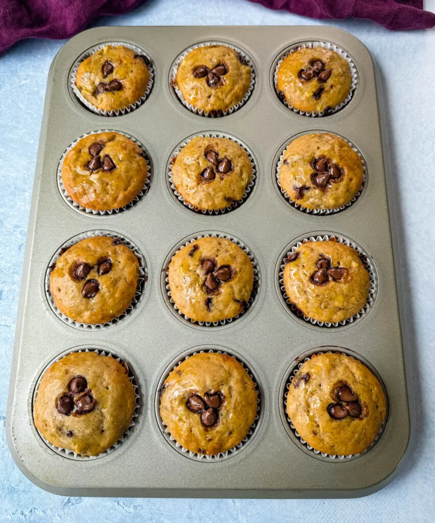 banana protein muffin with chocolate chips in a muffin tin