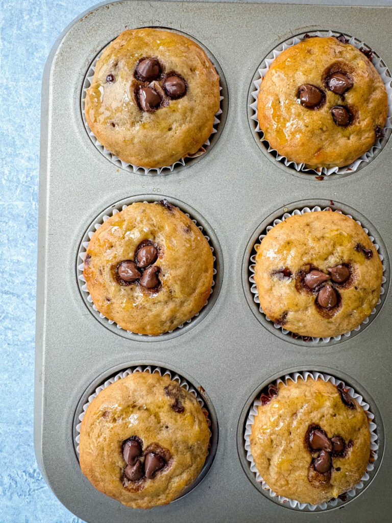 banana protein muffin with chocolate chips in a muffin tin