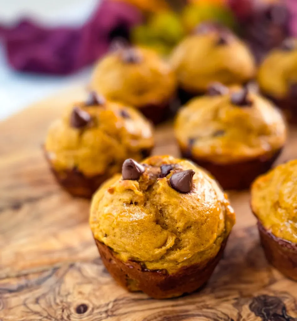 pumpkin protein muffins on a flat surface