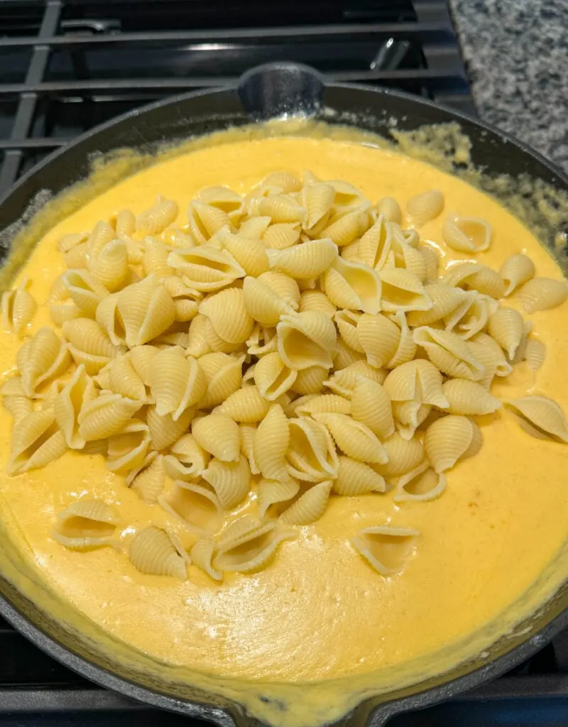 shells pasta and mac and cheese sauce in a cast iron skillet